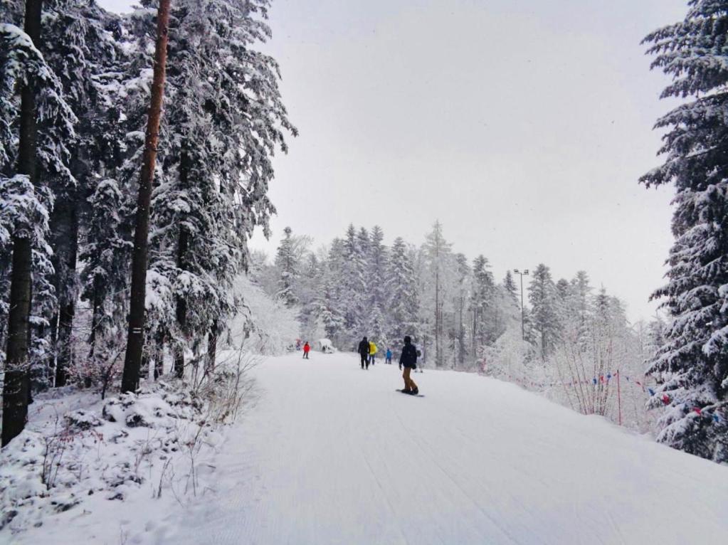 Domek W Gorach - Prywatne Jacuzzi, Sauna, Grota Solna - Panorama Chelm Ski&Spa Мисленице Екстериор снимка